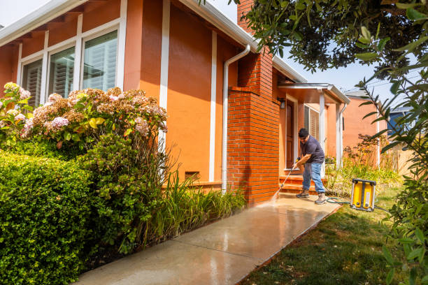 Best Pressure Washing Near Me  in Woodlands, CA