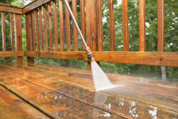 Best Affordable Pressure Washing  in Woodlands, CA