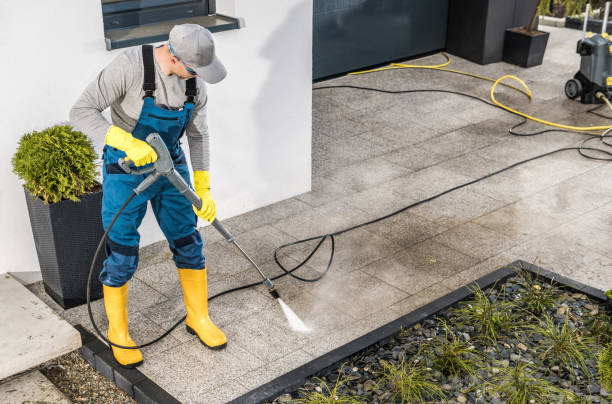 Best Exterior Home Cleaning  in Woodlands, CA